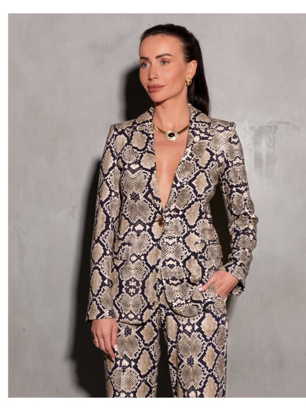 Care Tucker Kravitz Interlock Blazer and pants  Python